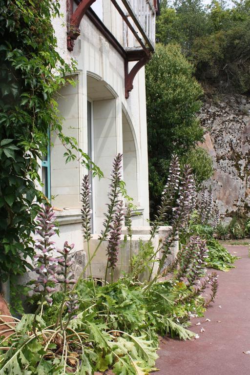 Gites De La Perriere Guest House Bouchemaine Εξωτερικό φωτογραφία